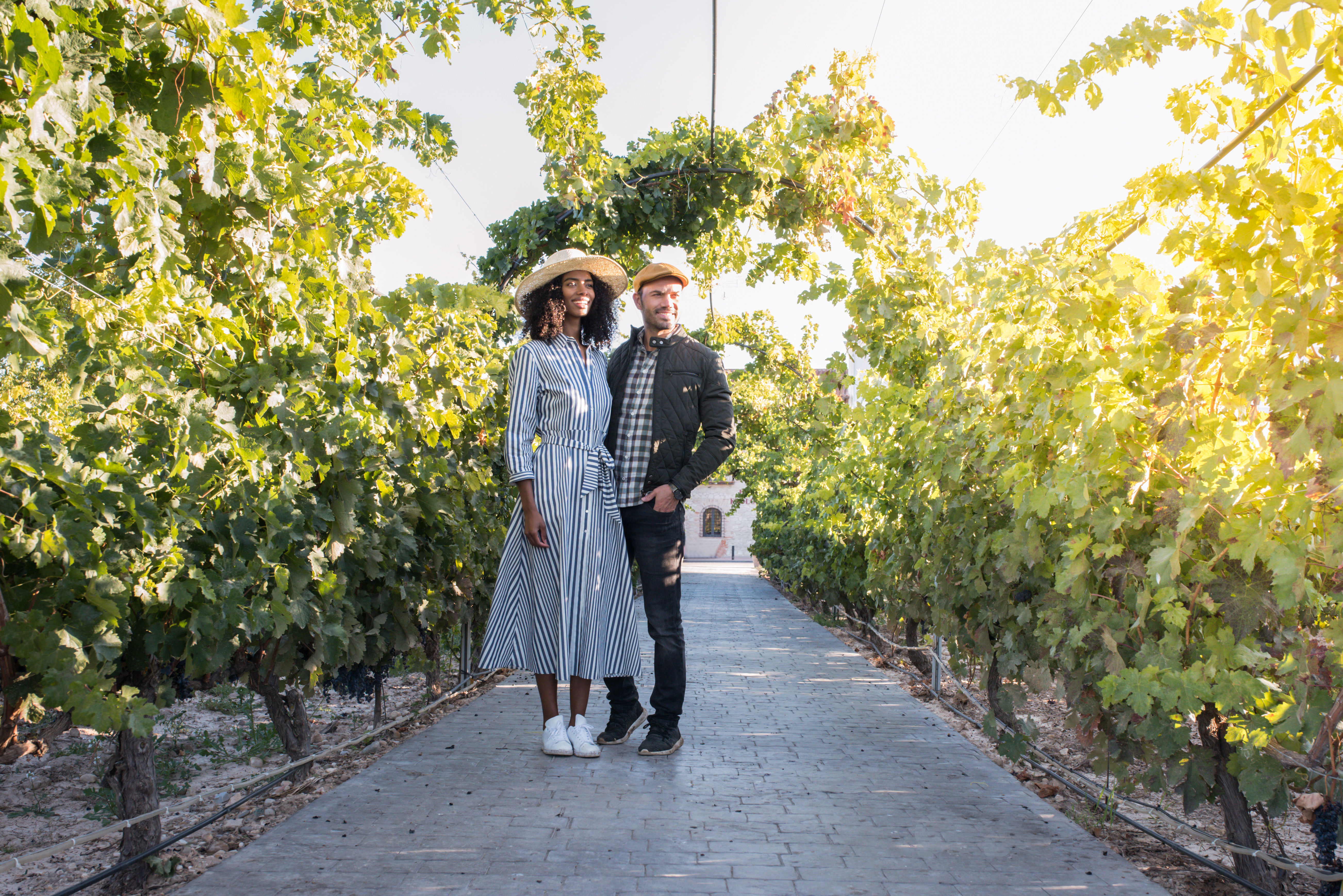 Friday Alfresco at Bogle Family Vineyards